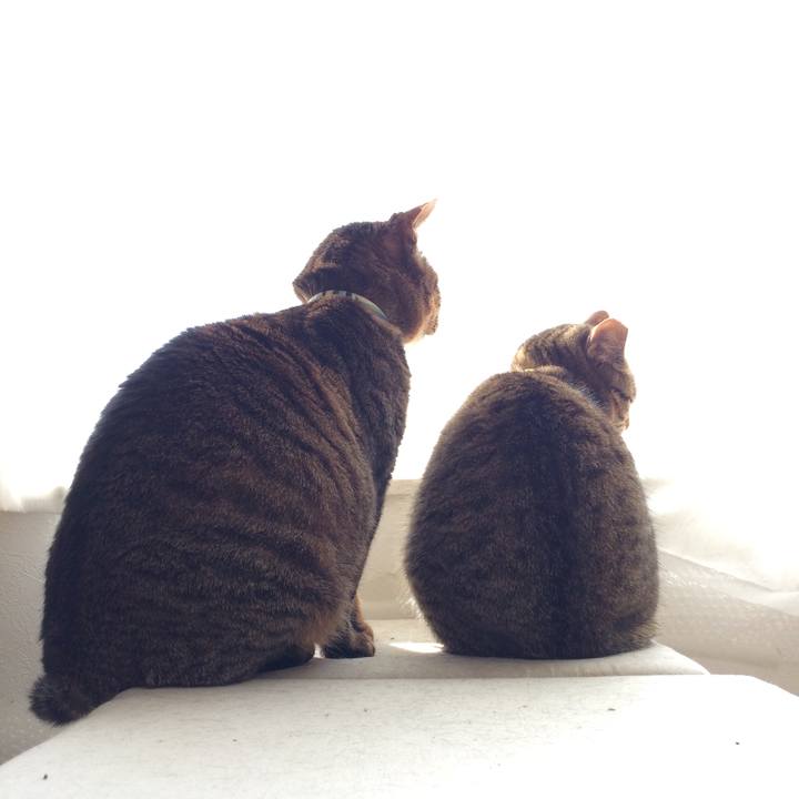 10a0ff9e 2d7b 4e47 962a bc147fce2d6e