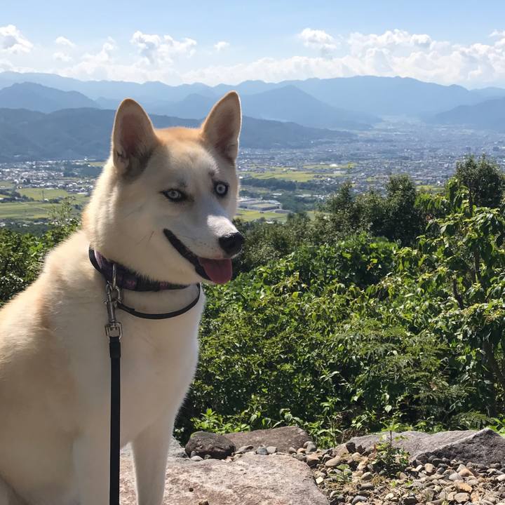 10a1a2dc b70b 48c7 8a0c 314294af5cb5