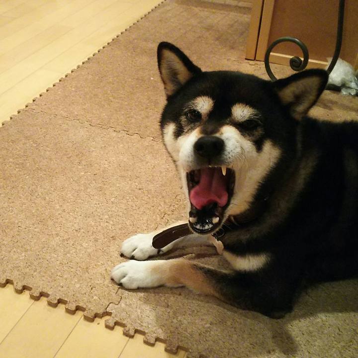 10a21a9d 40ab 4b0c a3f8 92082fcacd90