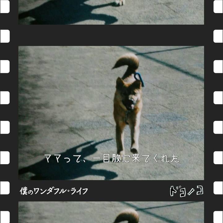 10a243d3 e4b1 4948 aaa5 e9a9fcd990c2