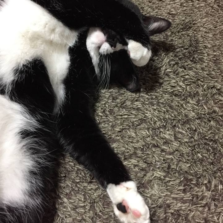 10a29a2f 6734 446c b989 4914262c3e23