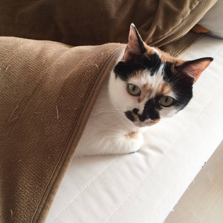 10a31973 f12b 4446 b22a 6935a8455889