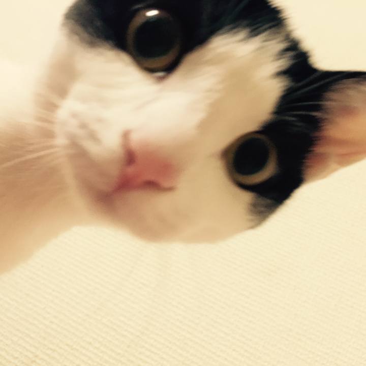 10a32534 d375 4628 a4c3 f46d117f7384