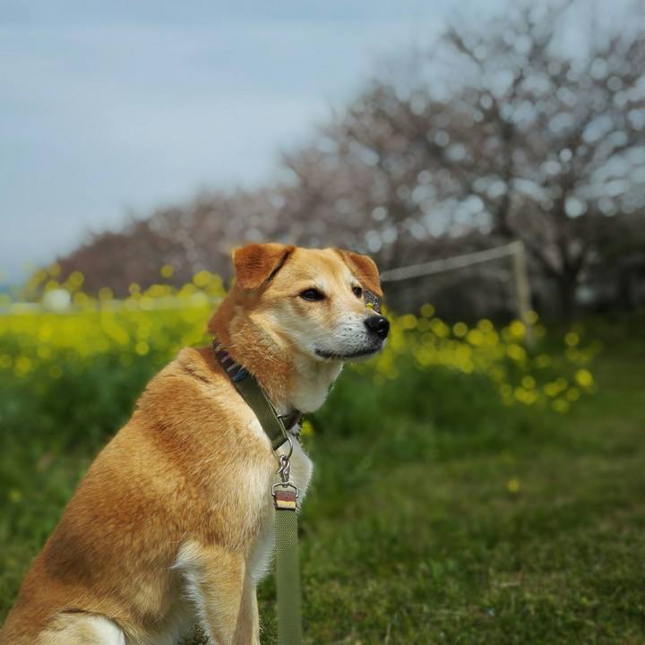 10a37d4d 2bfd 48f2 aebd 3ebc2b9ad6ed