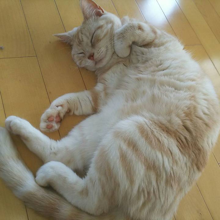 10a3a8e3 1309 4c82 bae7 59c9f59325ab