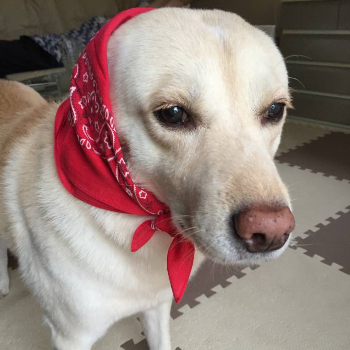 10a4b77e f362 4ac0 ad18 873d98c168ba