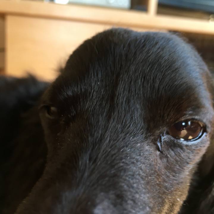 10a527ce e067 4fe0 87b3 a3be3e4cdf84