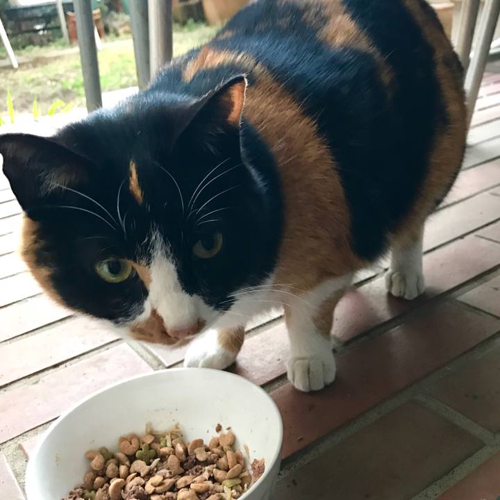 10a5c3b8 4a90 411e 8dc0 30df9f7e3179