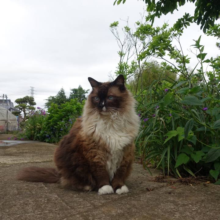 10a5e32d 3151 43c2 98d7 3e8f5f4cf400