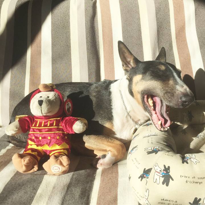 10a61c8d 8cd8 4b9c 9c94 441a24ae3726