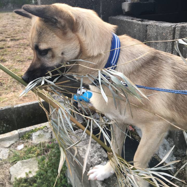 10a62e75 8246 42c4 88a1 4f3ca456ee91