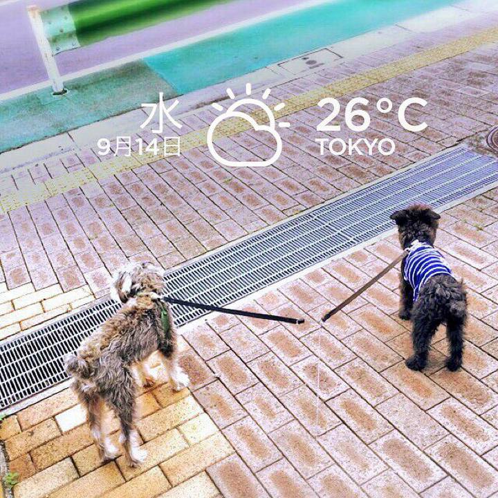 10a6590a 8579 4acf abd5 6667fc20578d