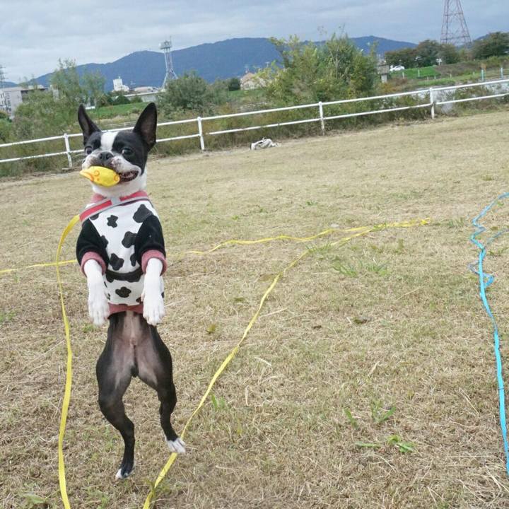 10a6e297 8536 4093 bbb7 7bd991006ed9