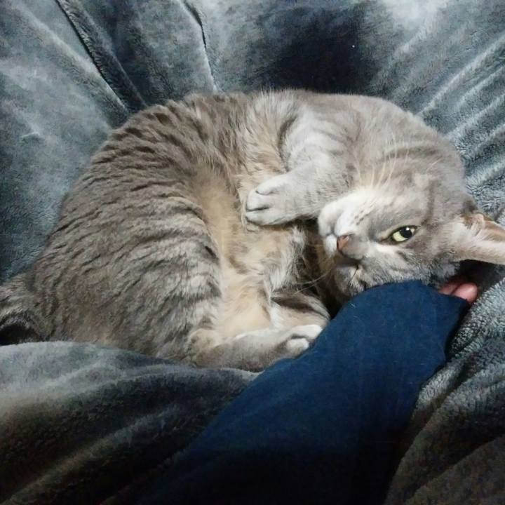 10a6eb4a db0d 432c 9f94 5fd1663498a5