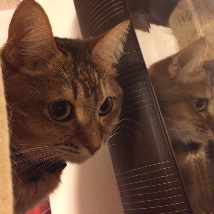 10a7042f 06f8 4404 9b6b 370d95fdb161