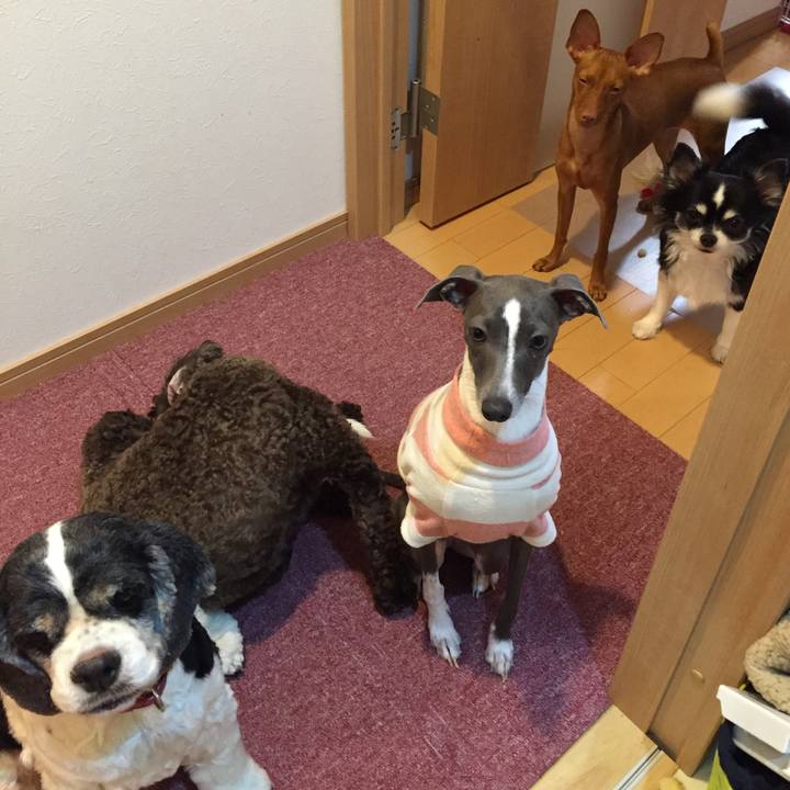 10a72a8c c0d6 4f8a adcf af46b26eba47