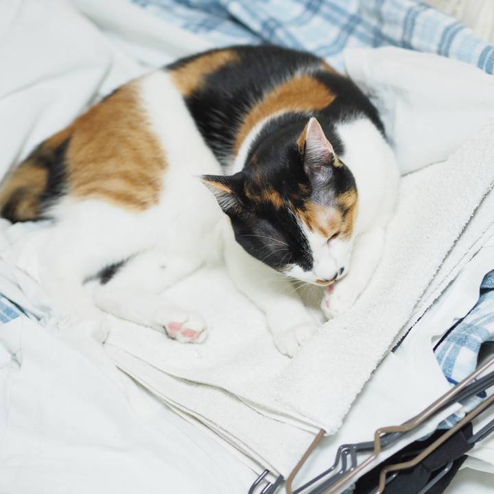 10a73bfb 3699 4f36 8de2 8c63c4374b1f