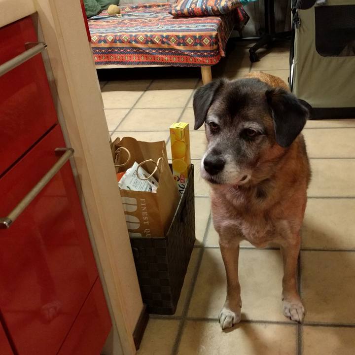 10a868b2 9e56 4f51 9383 ef2c26550a69