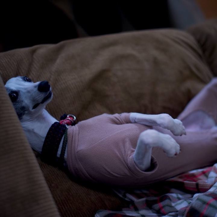 10a8b062 21fd 4b1e 8abe babcb38cb13d