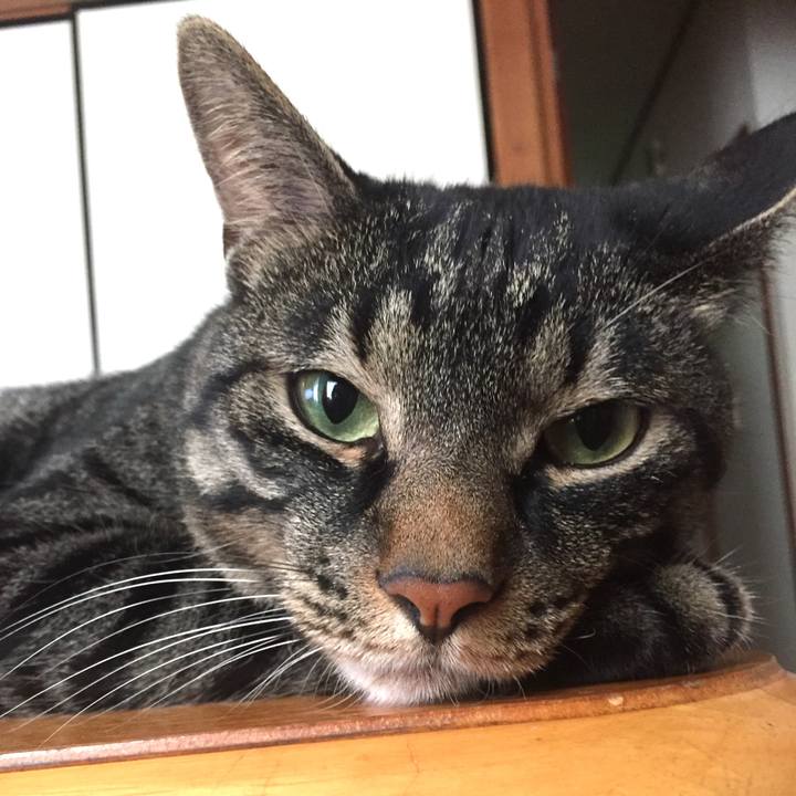 10aa04dc d068 476d a589 33e3a5ec0654