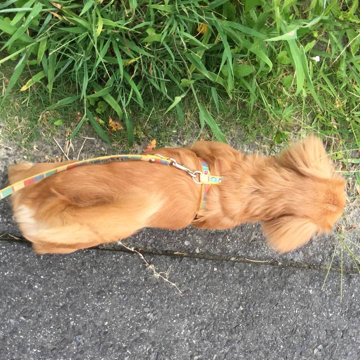 10aa4866 4cf8 442f ad3a 44e881844848