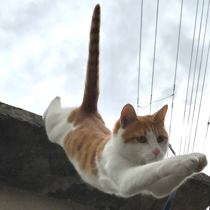 10aa560e b3f5 4f05 87db df114efe685b