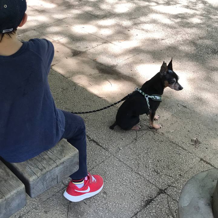 10aaacf5 7f13 4d5a ace9 b30fff009b1d