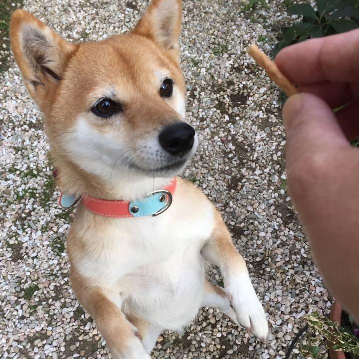 10ab3c5a 596a 47b3 b757 7850976fa530