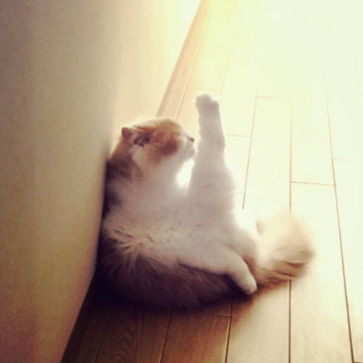 10ab69c4 48e1 4c08 889d 05ff24f3c095