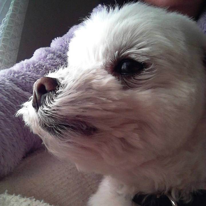 10ab73d9 75c8 4b96 b2b9 42e9df2b8429