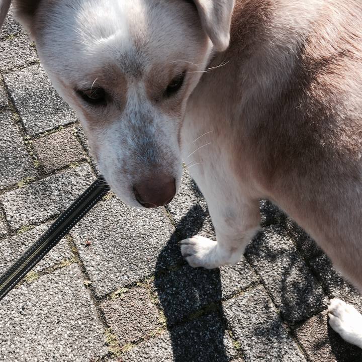 10ab864e 8d48 464f 866c 9382107b3f23