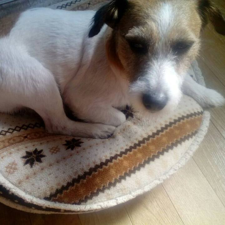 10abb5f9 702e 4e99 88dd 15d0c081da01