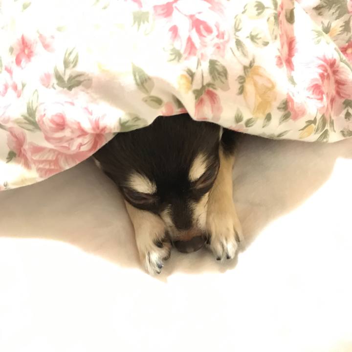 10ac3d82 0e5b 48ab 8930 ab8f67b24e06