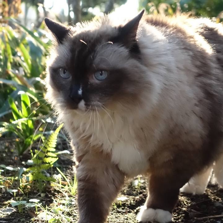 10ac5d93 7140 4ff5 a9ba 3d0c156128ec