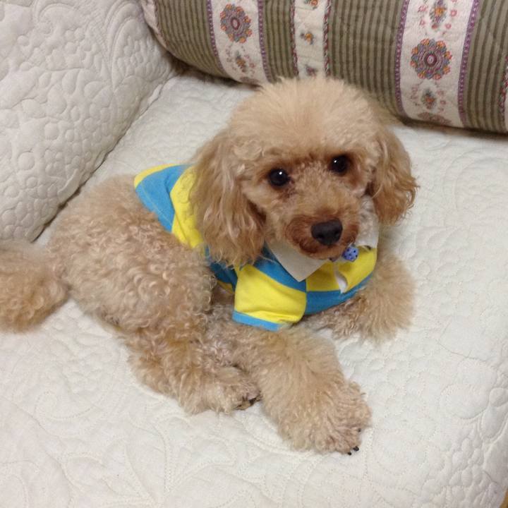 10ade7c4 6f2d 468b bd0d 526b0a437e88