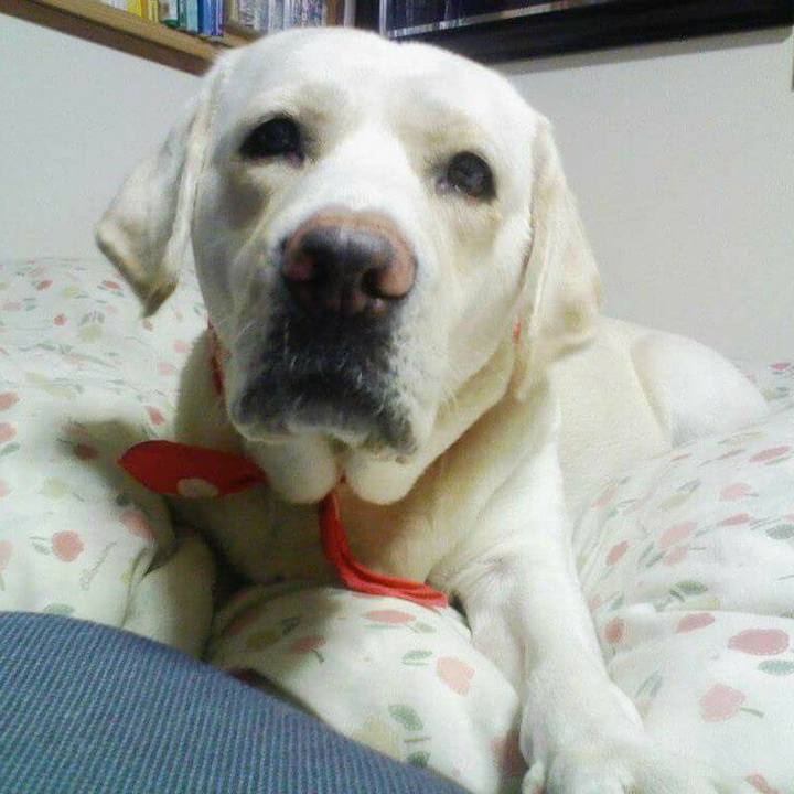 10ae0640 205b 4738 9544 5790531018ca