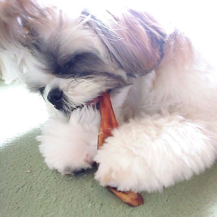 10ae4cc0 4e38 49c0 8e64 f5db395b981c