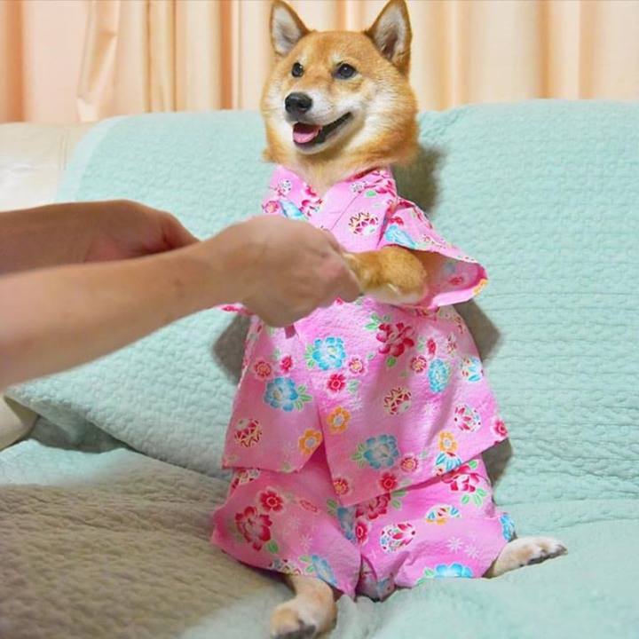 10afe72e 0910 4394 a722 9de8f46d4d14