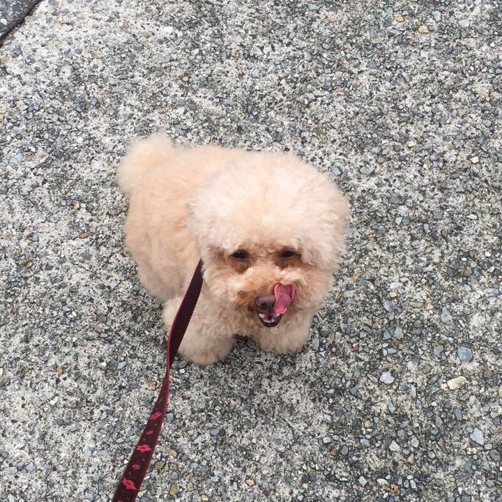 10aff586 c671 46e8 ab7b b4040fad211c