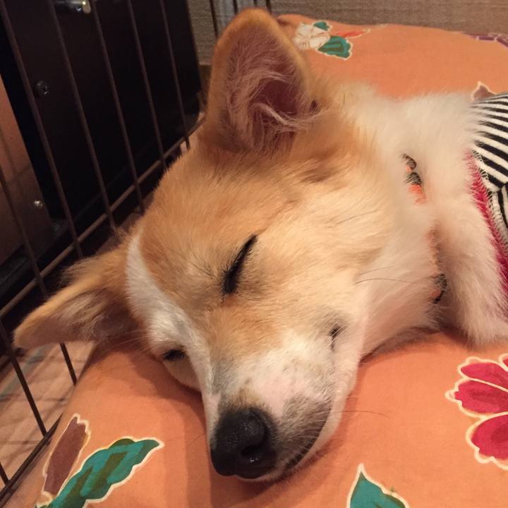 10b05396 1930 42b4 a036 062e29afe910