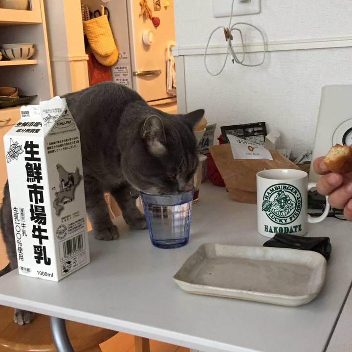 10b22cfb 93d0 4f55 bc84 2eb3075da541