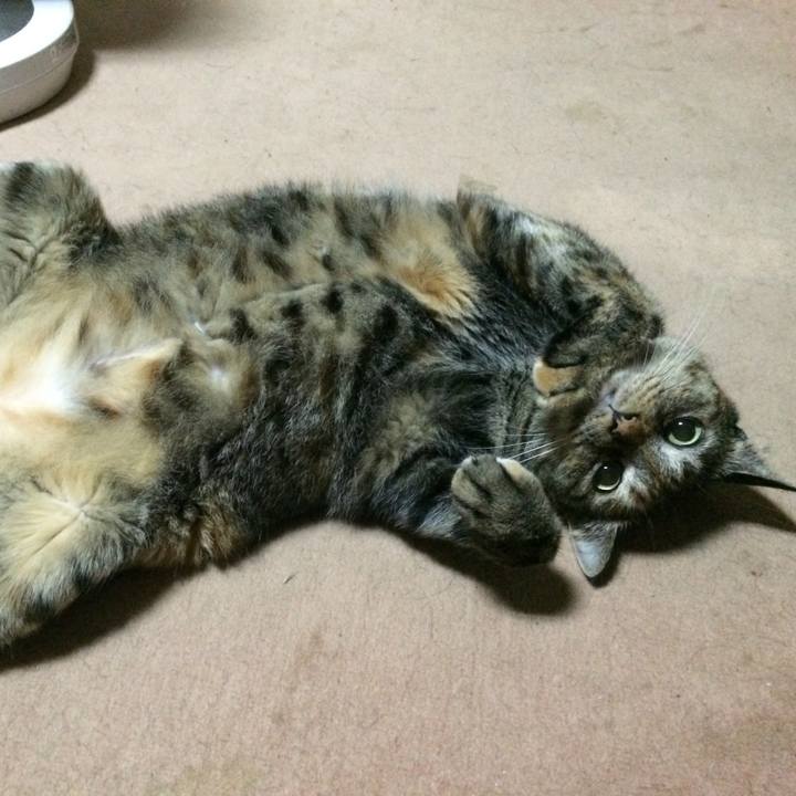 10b29ba6 dd6a 4a55 8ae1 6c243f410d26