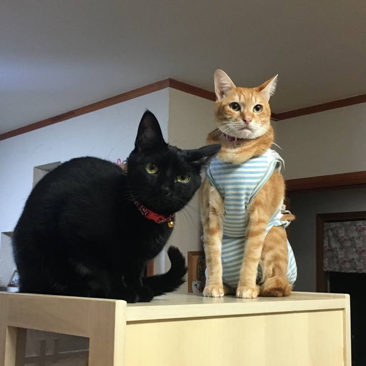 10b30180 9d03 45dd 92b1 585311ab5036