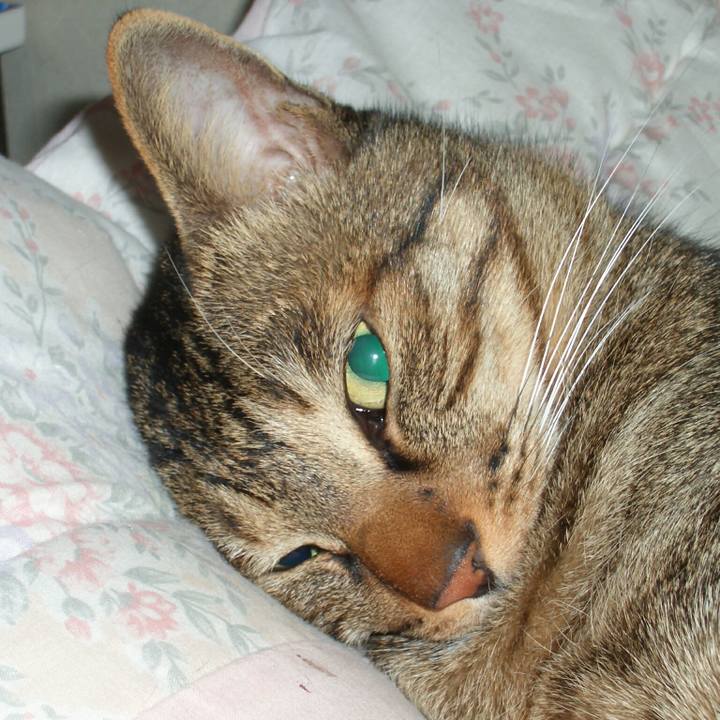 10b3195c 1993 48d9 a851 9c9e31047a71