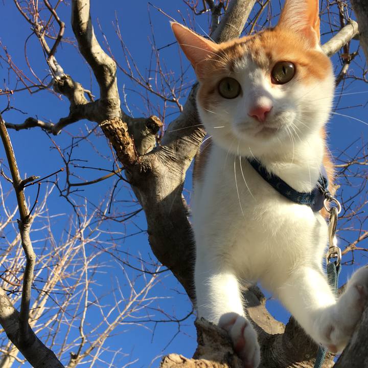 10b3ca5d 7ebf 48c8 8c9e a4144dfa501f