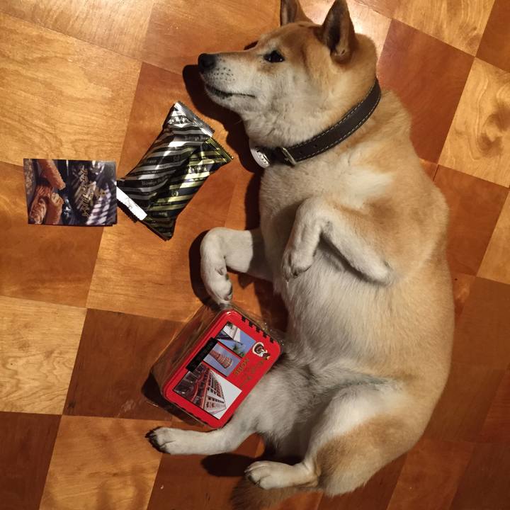 10b43f57 2802 44bd 9c2e 9d76da5a3caf