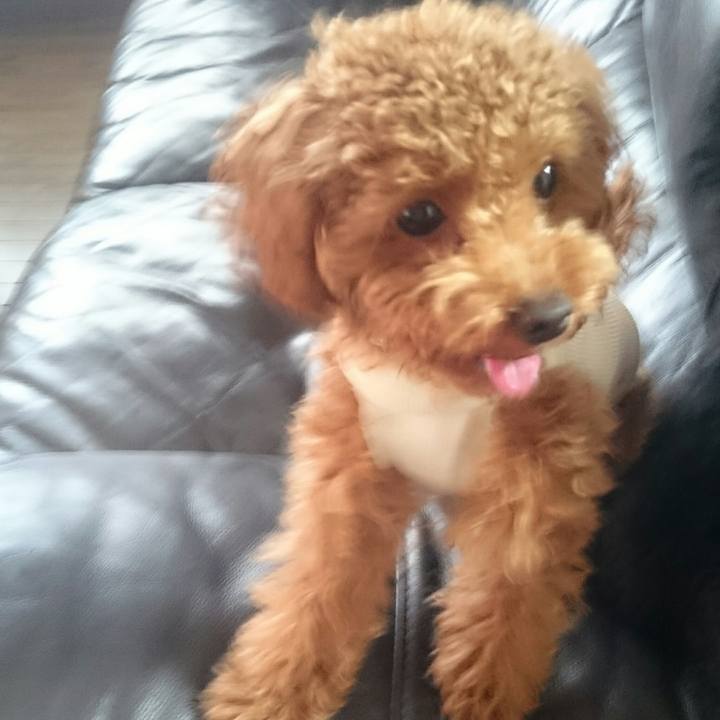 10b465b7 b2ac 4c7f ad6d c79b7aab1205