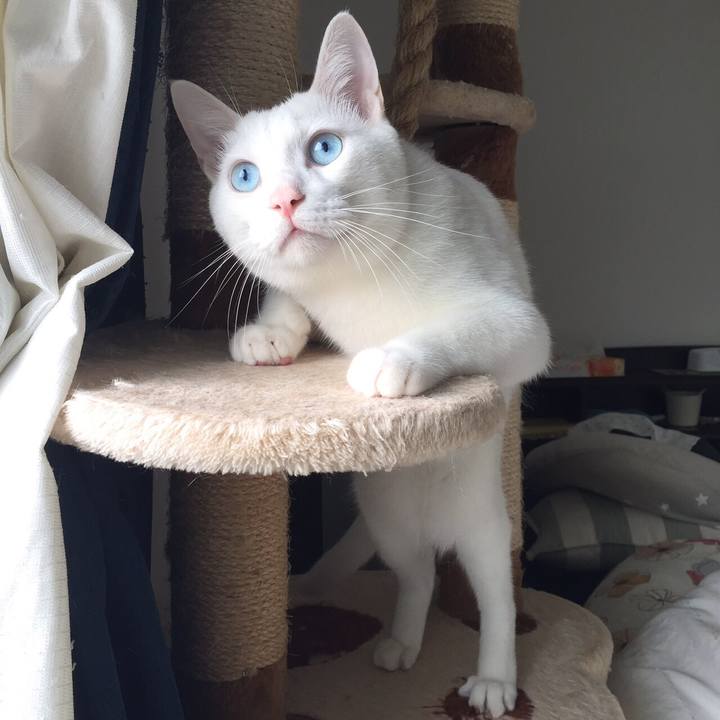 10b504df af33 4116 8316 c0c5068da142