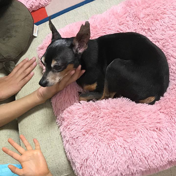 10b628ae 6126 461f b8d9 cf35a239eb6f