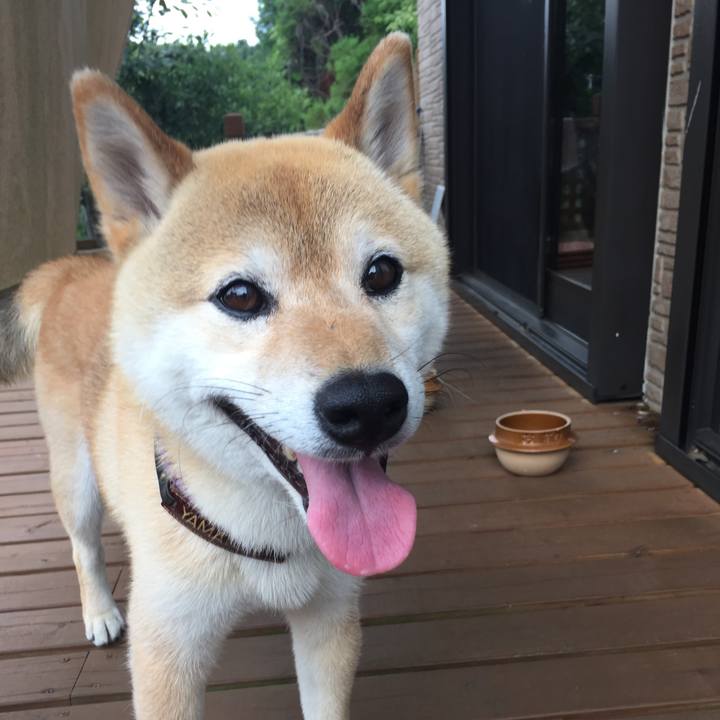 10b6d488 4ce3 4f15 84fb ee493f187f68